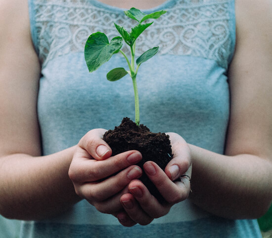 Grow with Counselling